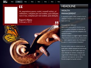 binz-communications-webdesign-bsi-bank