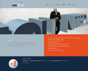 Binz-communications-design-webdesign-aiqunited