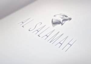 super-yacht-branding-cut-logo