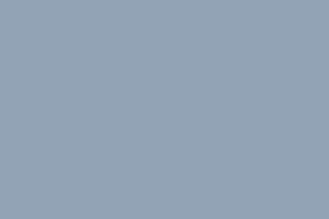 binz