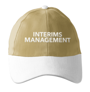 interims-management-binzcom